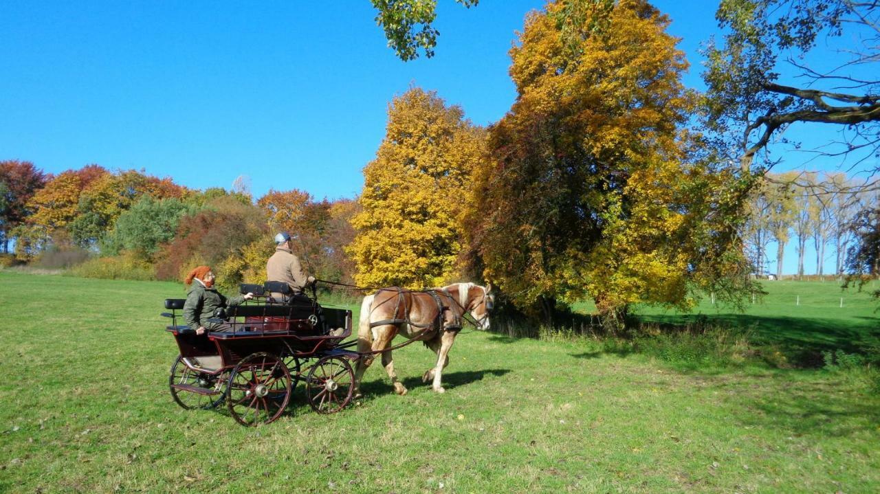 Bed and Breakfast Aux 4 Saules De 4 Wilgen Модав Экстерьер фото