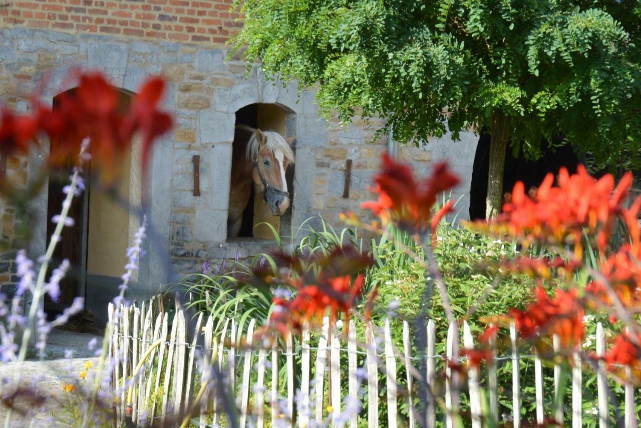 Bed and Breakfast Aux 4 Saules De 4 Wilgen Модав Экстерьер фото